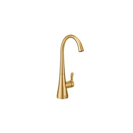 Moen Sip Transitional Beverage Faucet Bg S5520BG